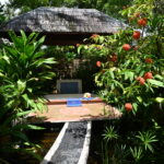 DSC 3552